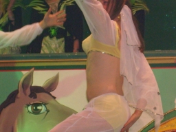 Weib07